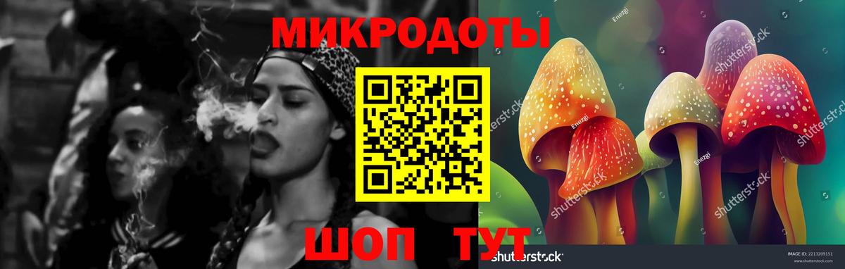 Псилоцибиновые грибы мицелий  Галлюциногенные грибы Cubensis  Владивосток  Вход с VPN 